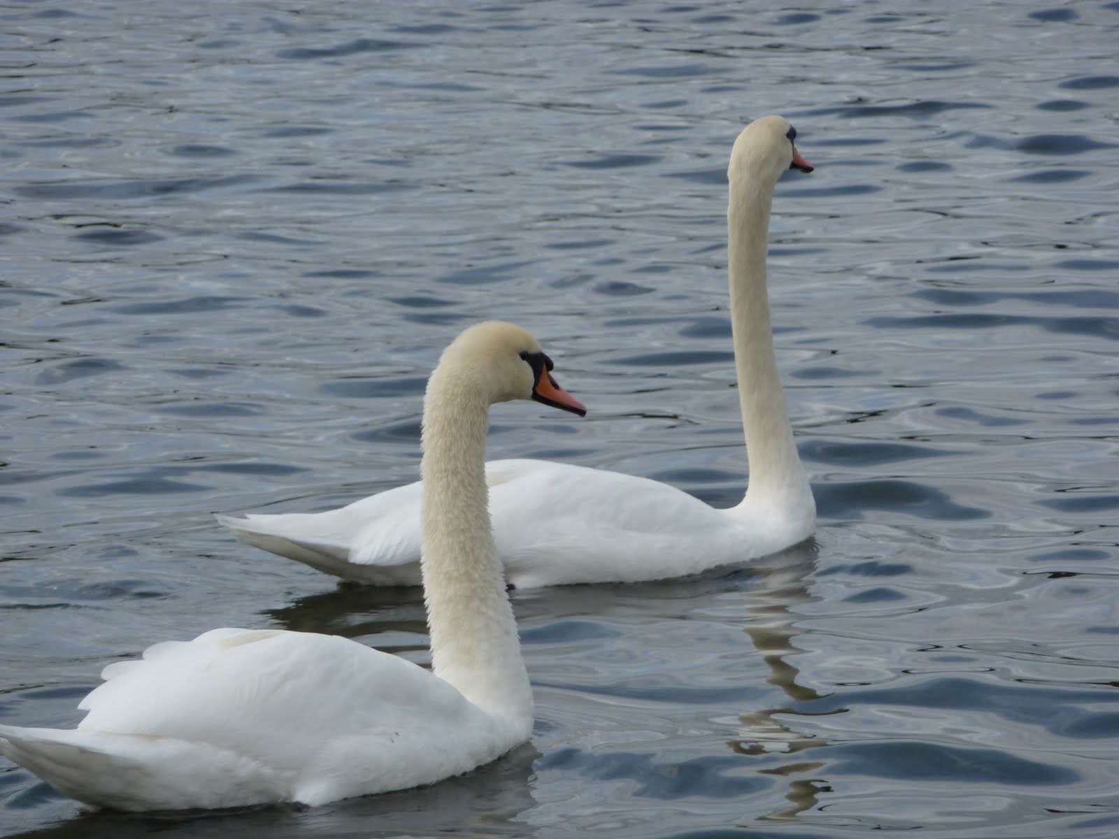 [P1000355.JPG]