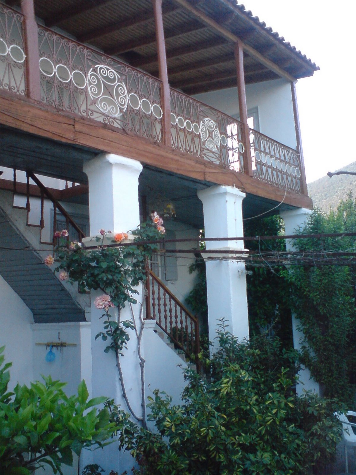 [DSC00481.JPG]