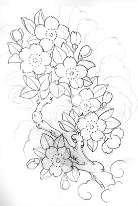 Cherry Blossoms Sketch