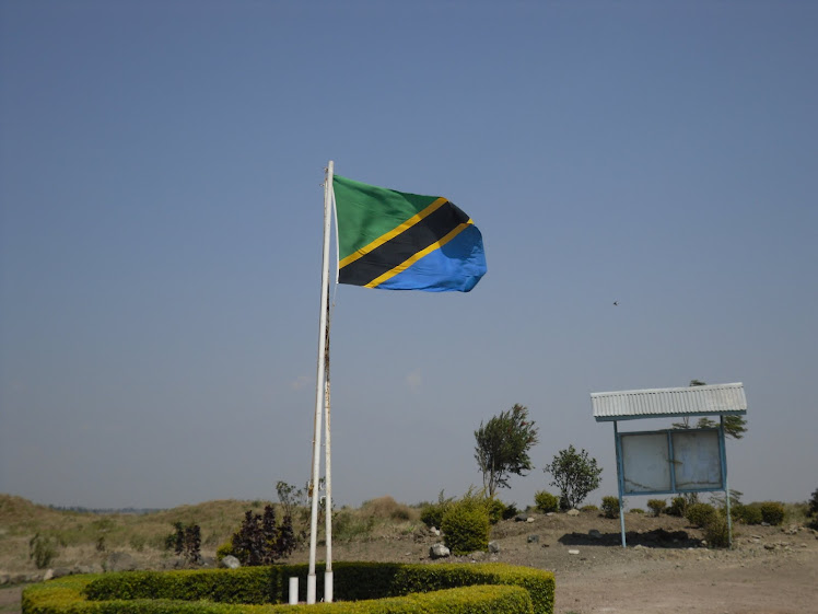 The Tanzania Flag