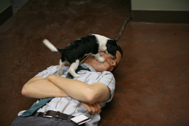 matthew gray gubler puppy. Matthew Gray Gubler and his