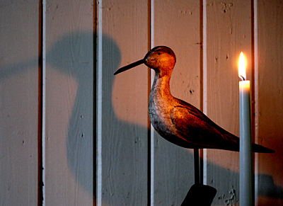 Island Life The Blue Cabin Blog November 2010