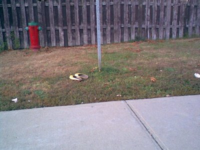 photo of a pair of shoes on the grass near a fire hydrant and sign post
