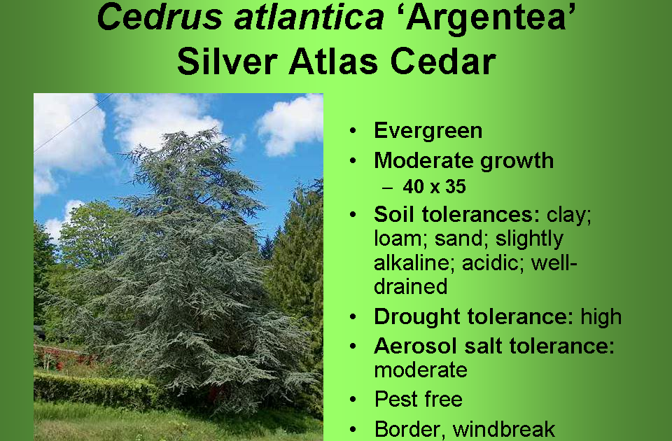 University of Delaware Cooperative Extension, Kent Co., Commercial