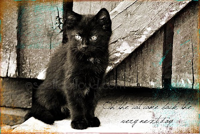 black cat art