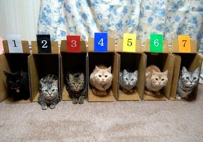 [image_2.jpg]