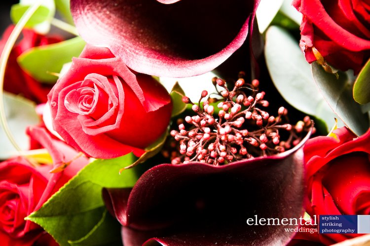 [Louise+&+Calum-0003.jpg]