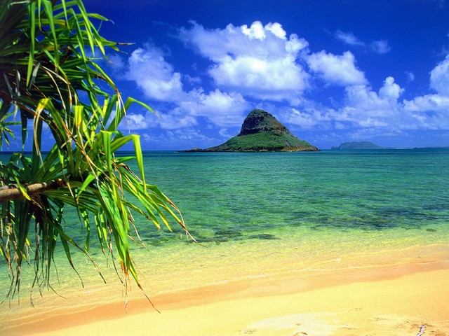 [hawaii.jpg]