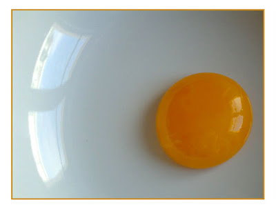 egg yolk natacha colmez
