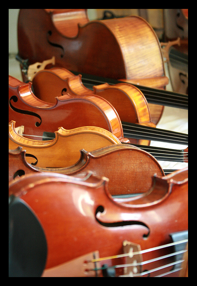 [violins+violas+by+natacha+colmez.JPG]