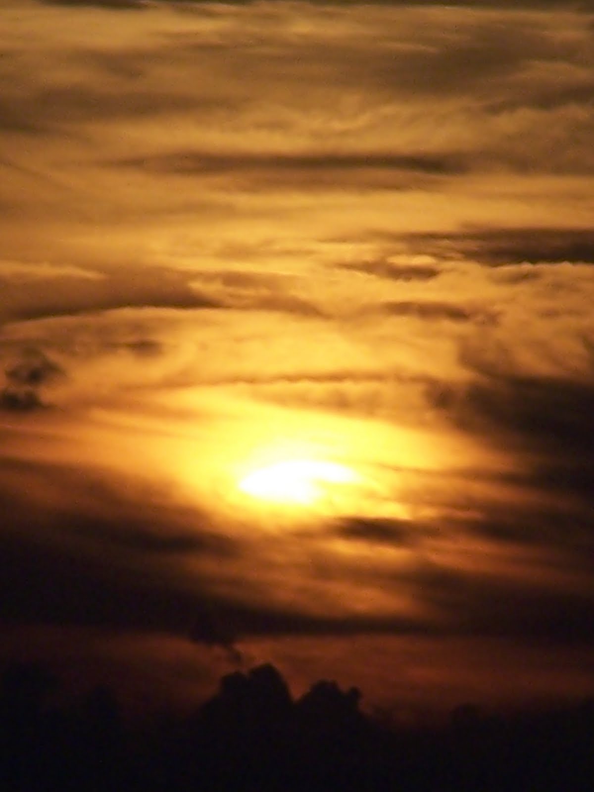 [Pine+Isle+Bayport+076.JPG]