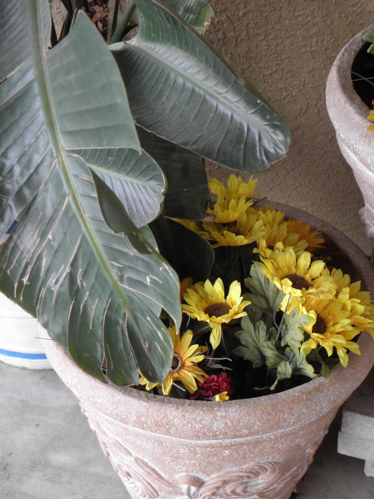 [2-11+Tarpon+Spring+002.JPG]