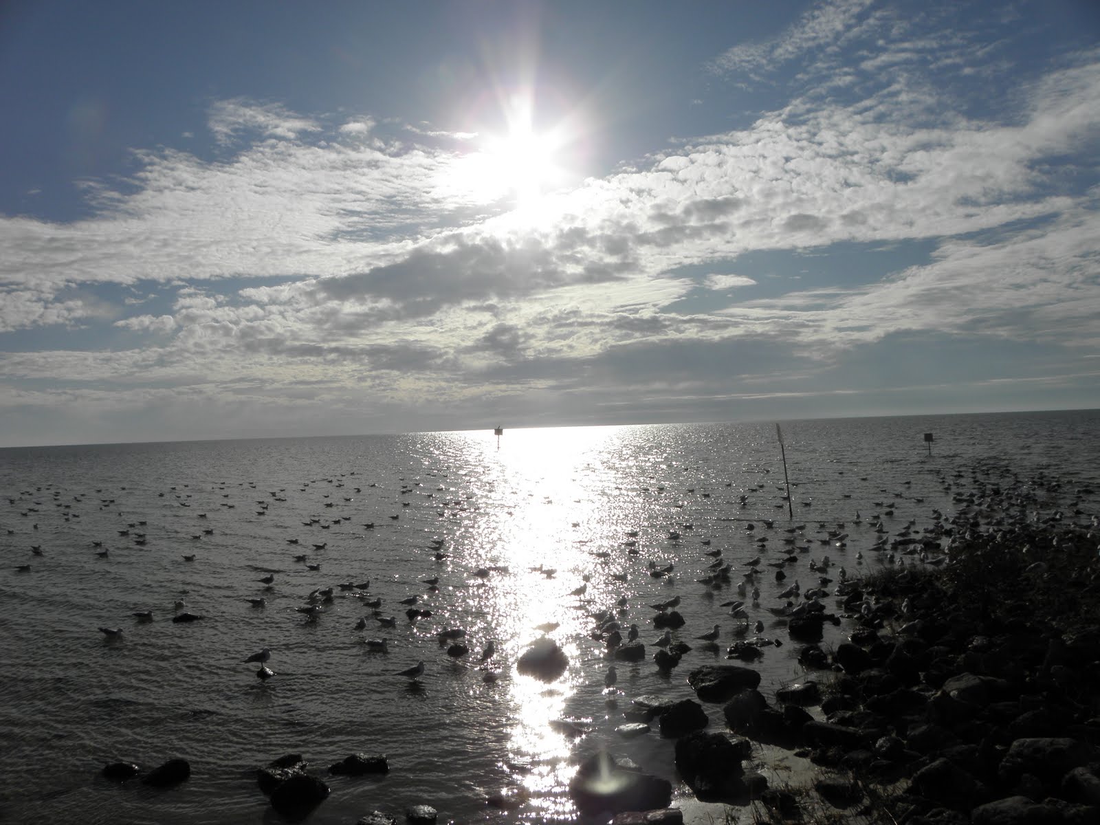 [Pine+Island+Winter+033.JPG]