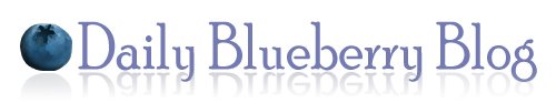 DailyBlueberry Blog