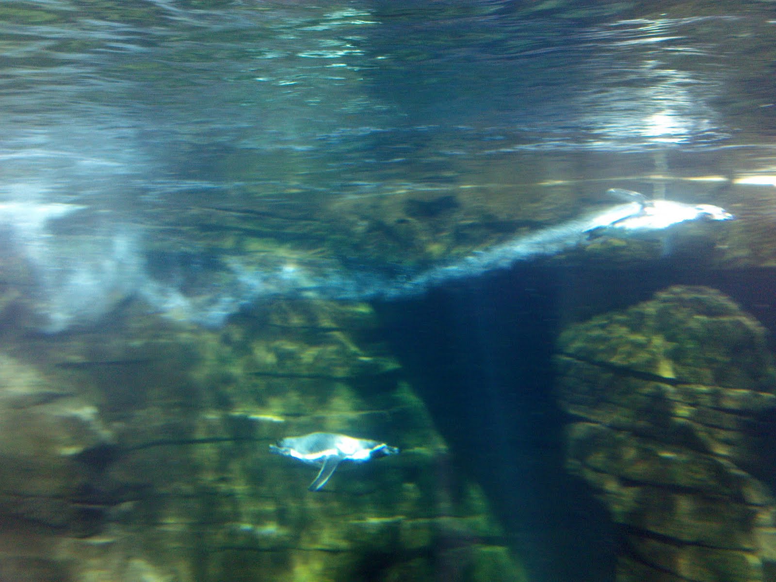 [DSC00714.JPG]
