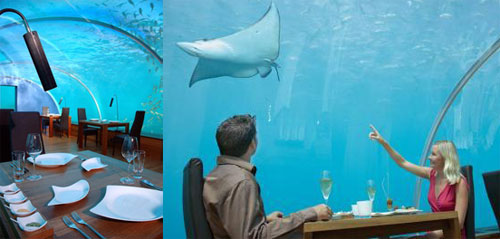 [underwater-restaurant-01.jpg]