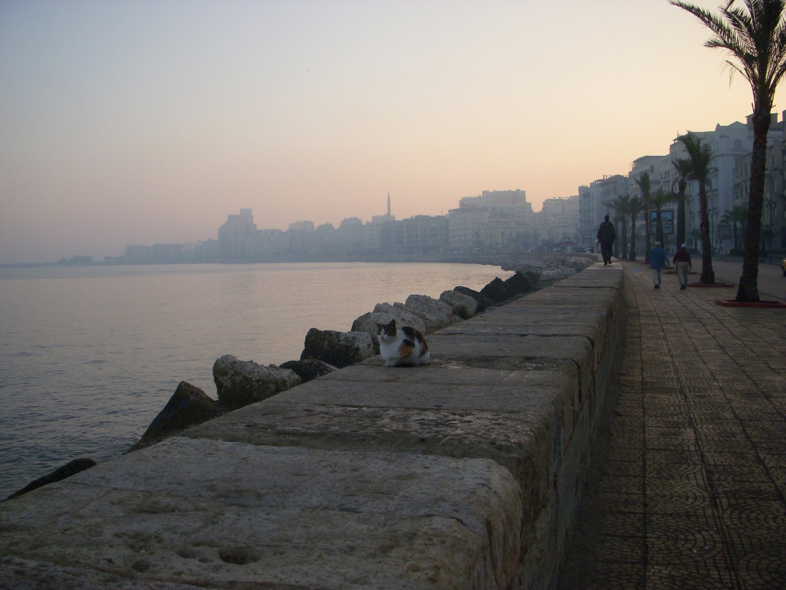 [DSCN1195.JPG]