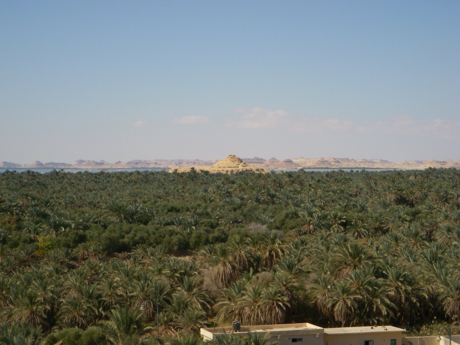 [DSCN1266.JPG]