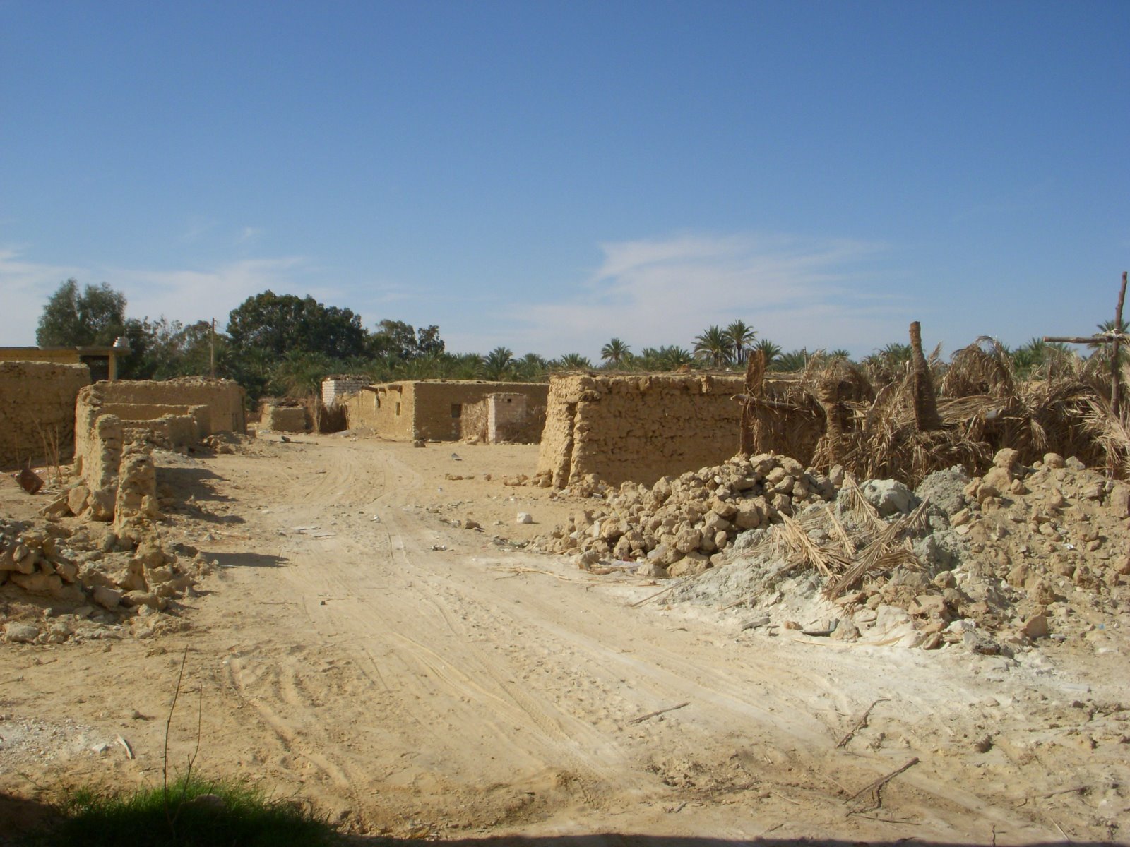[DSCN1398.JPG]