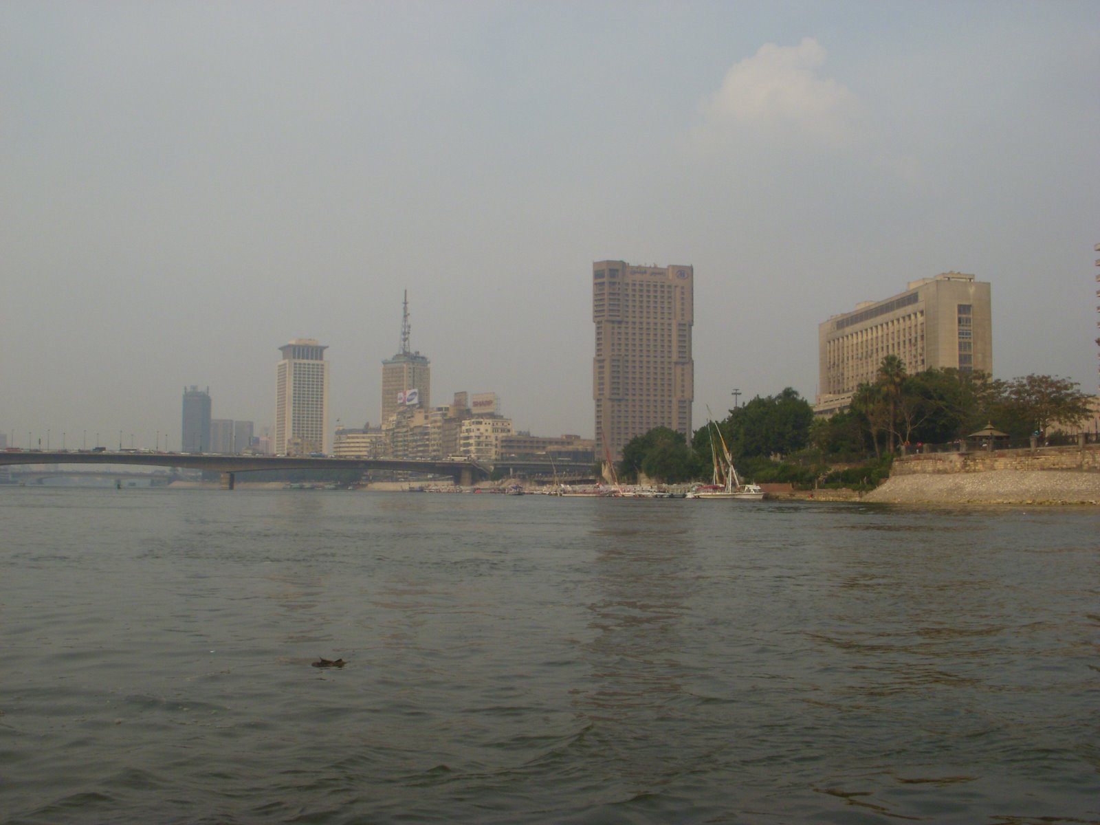 [DSCN1518.JPG]