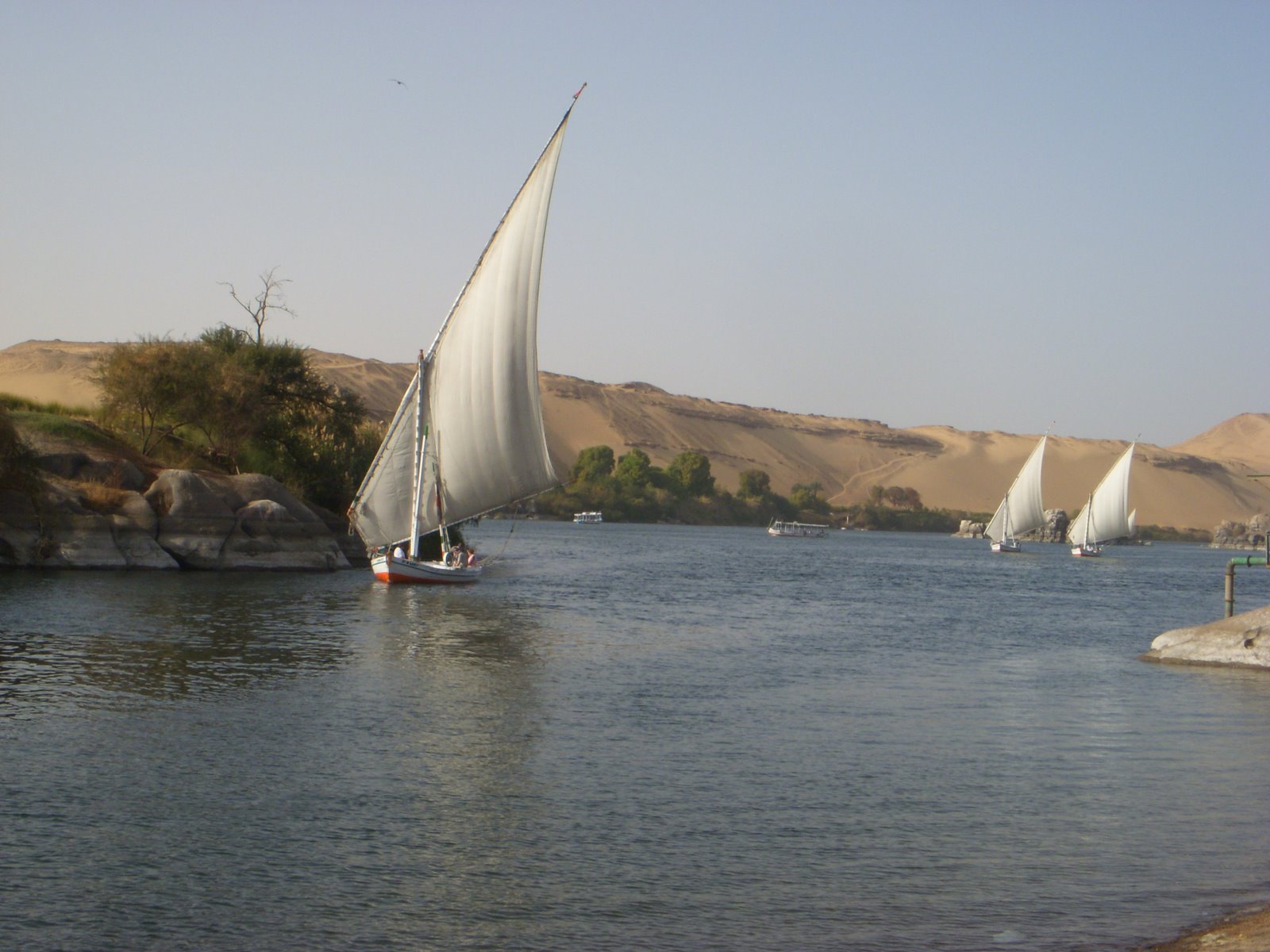 [DSCN2477.JPG]