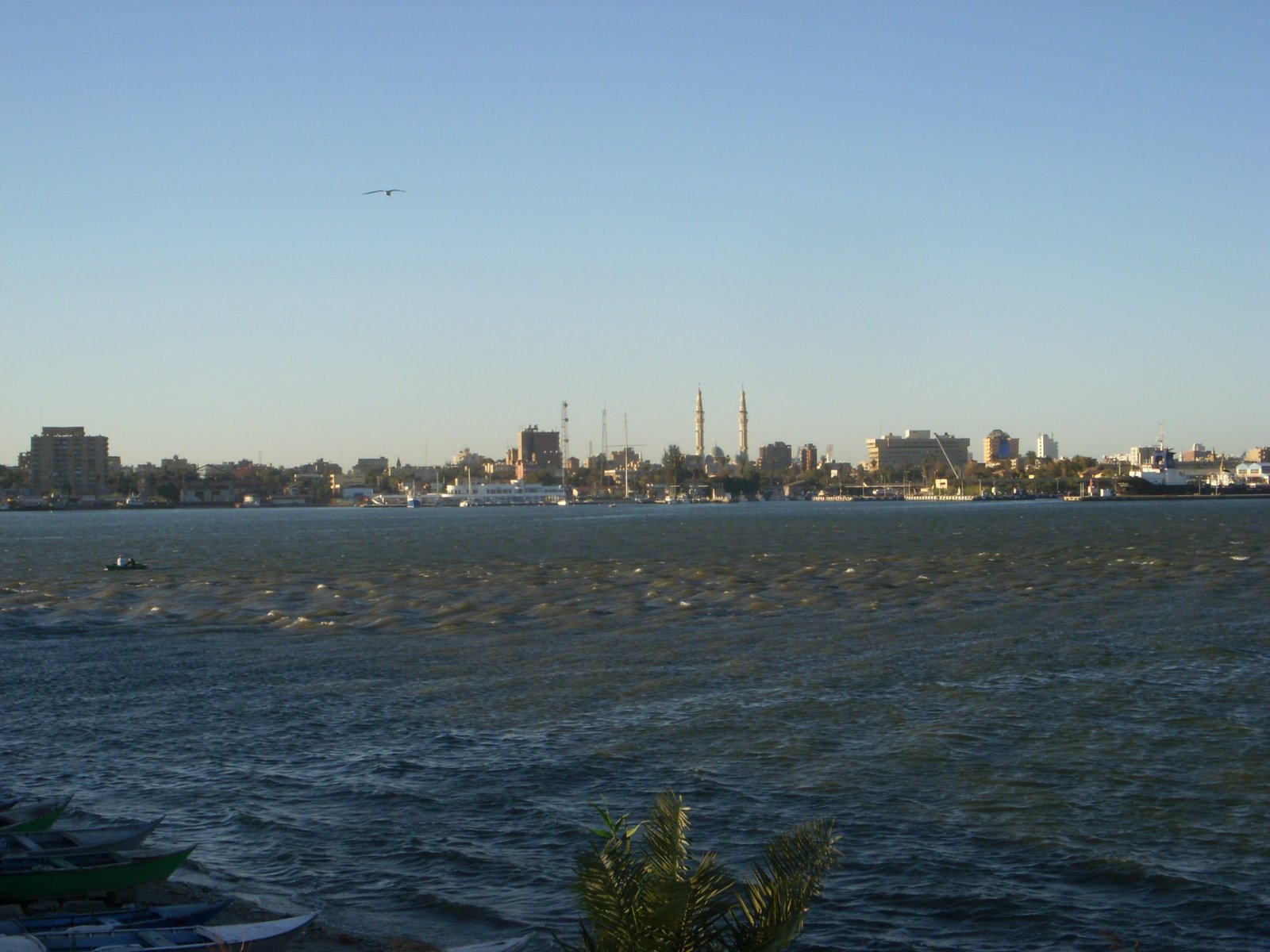 [DSCN2636.JPG]