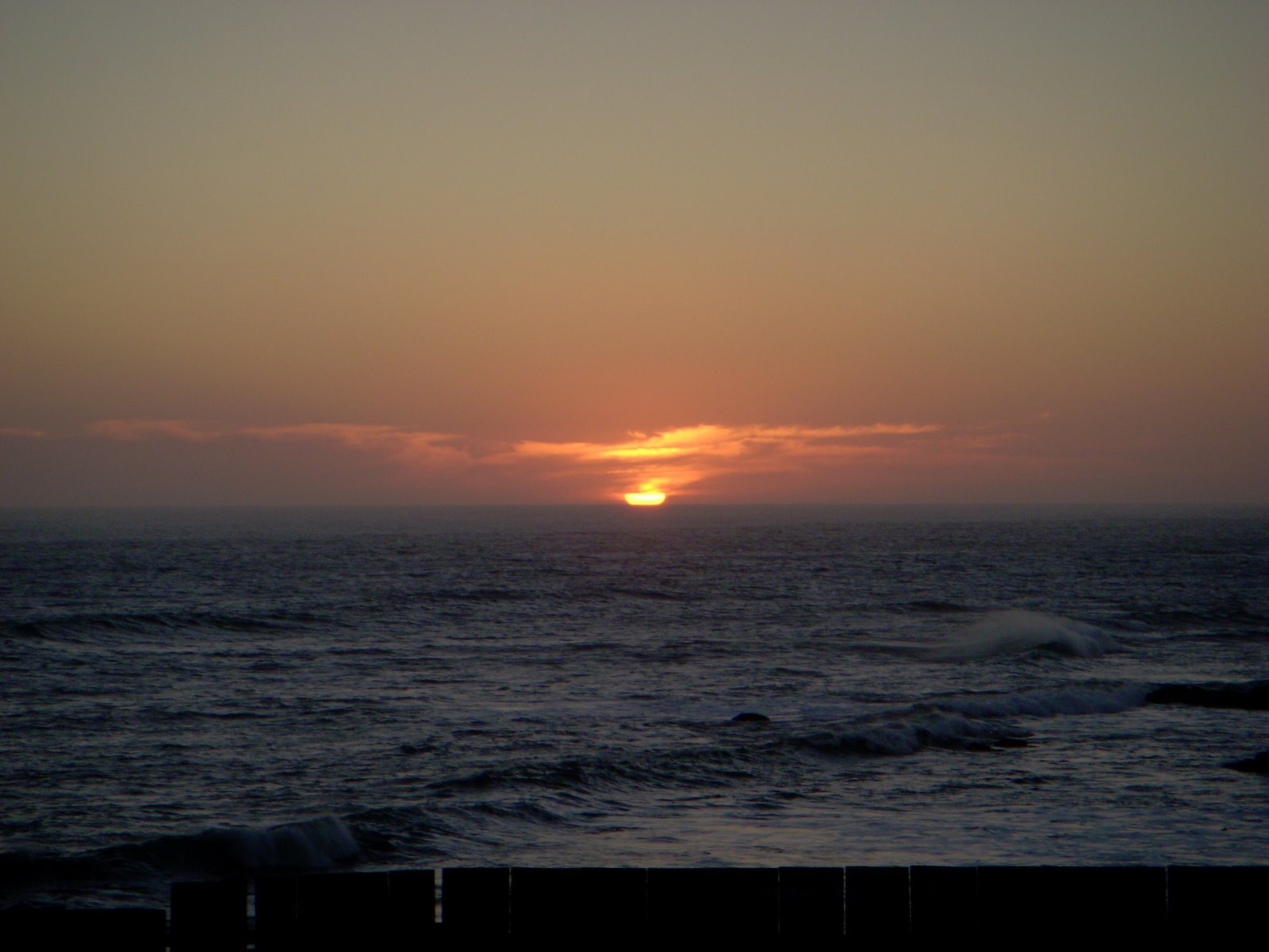 [DSCN0527.JPG]