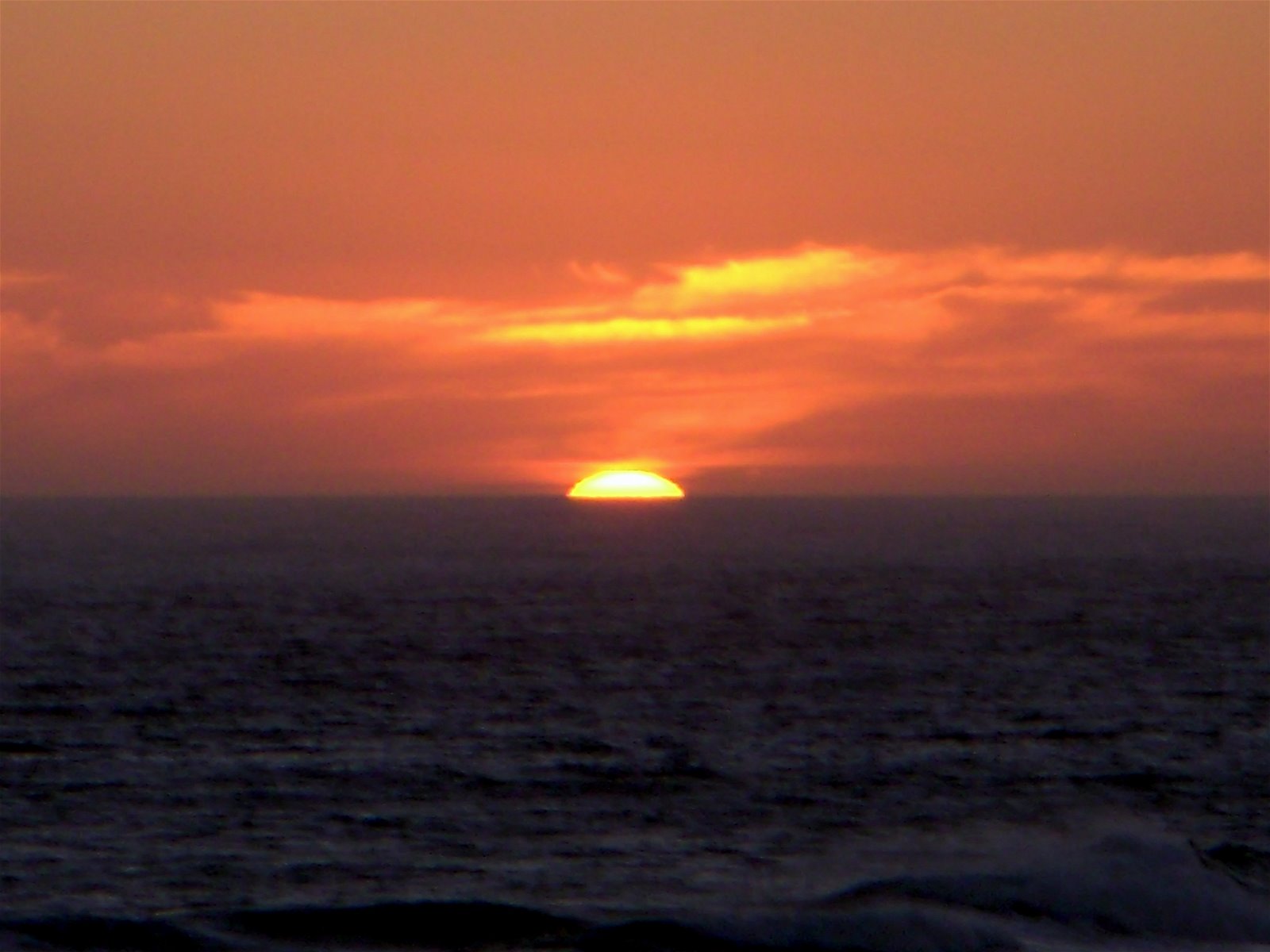 [DSCN0530.JPG]