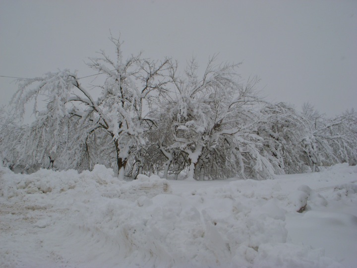 [DSCN9770.JPG]