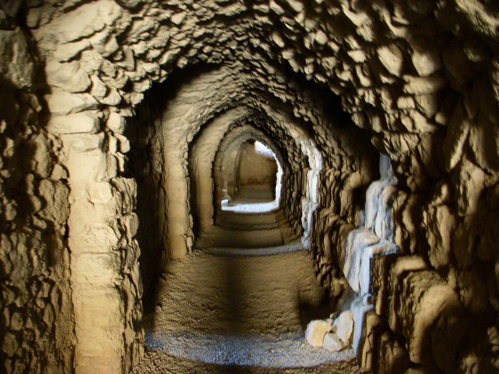 [DSCN3081.JPG]