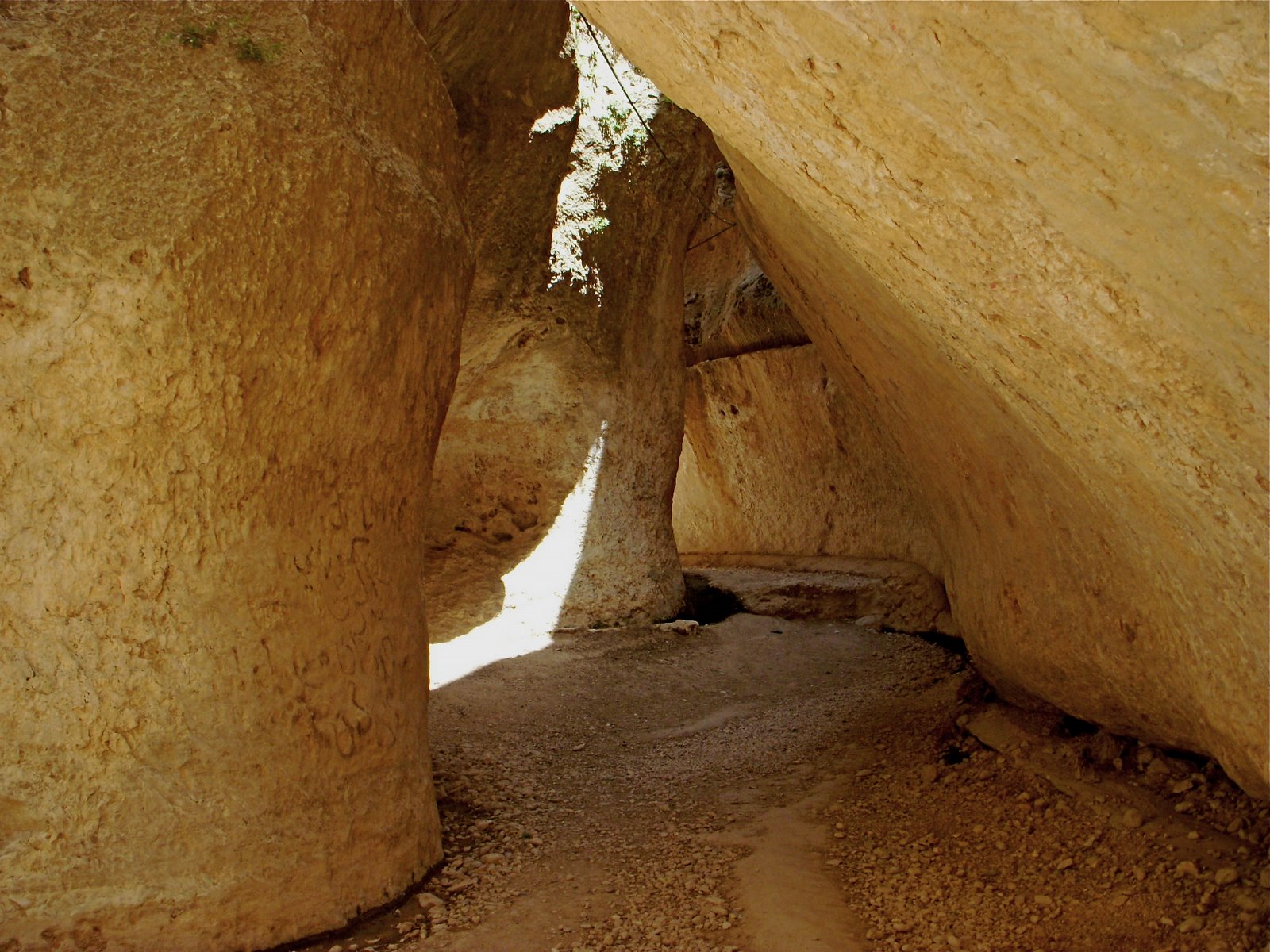 [DSCN3415.JPG]