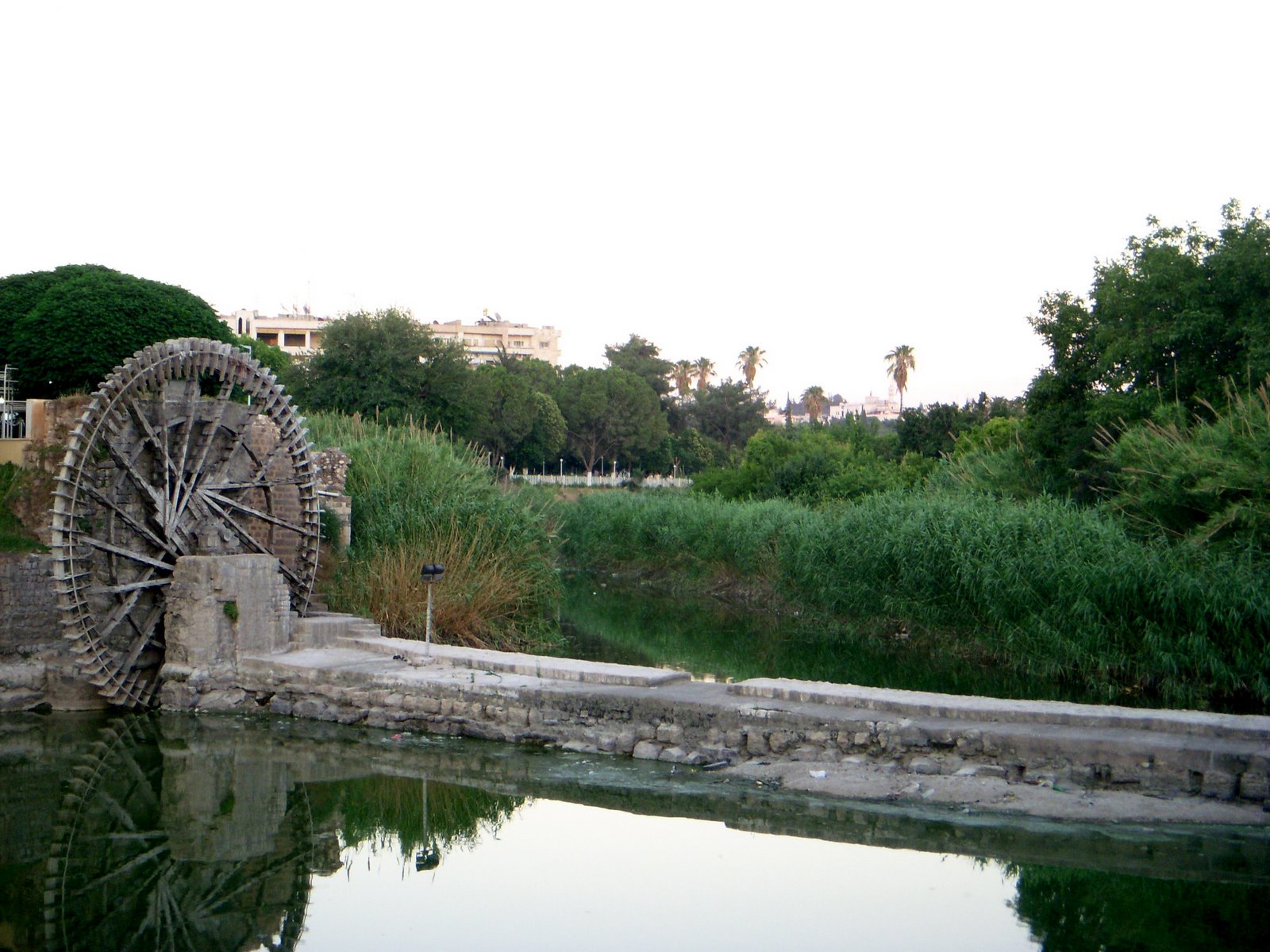[DSCN4075.JPG]