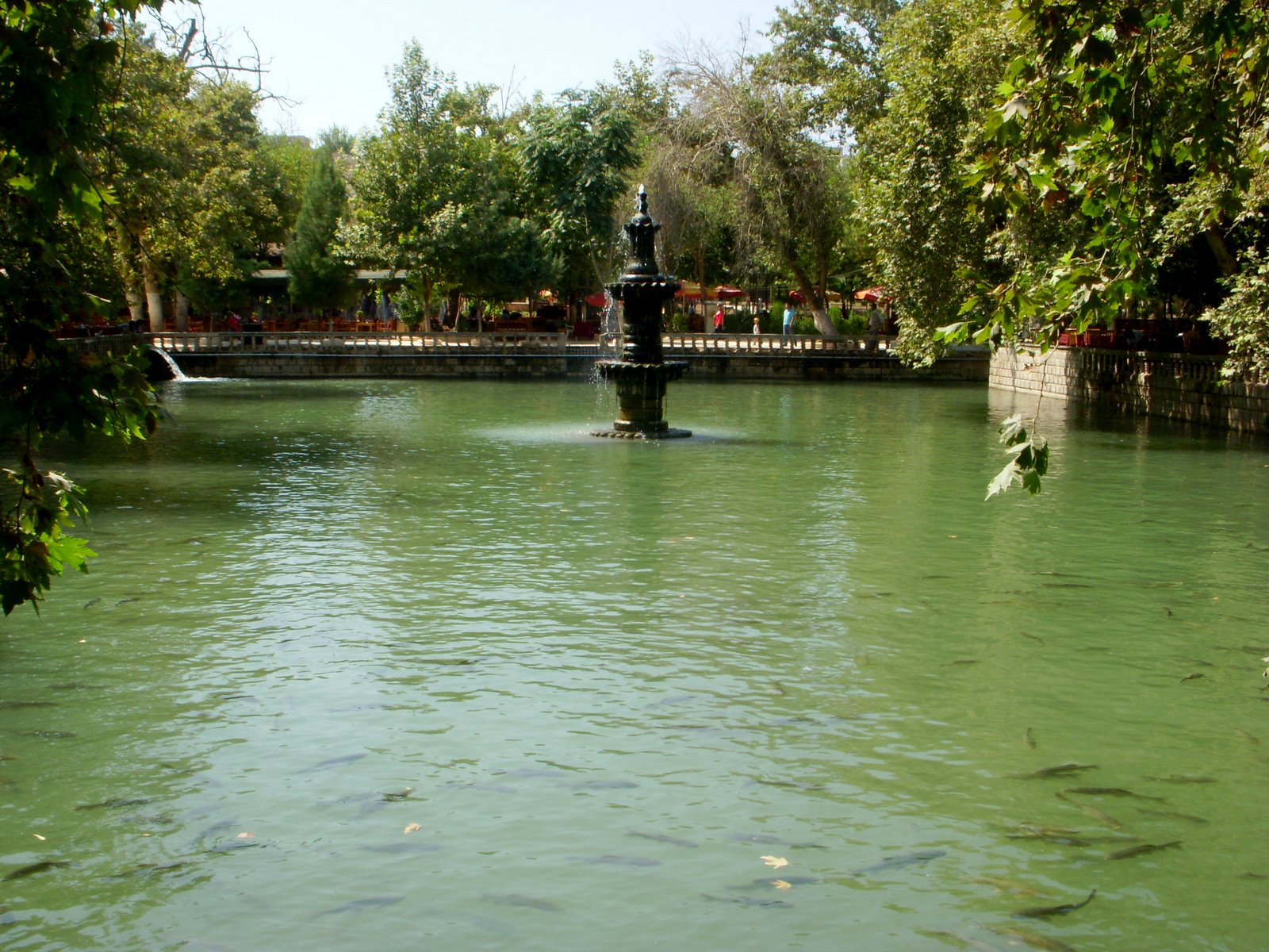 [DSCN4306.JPG]