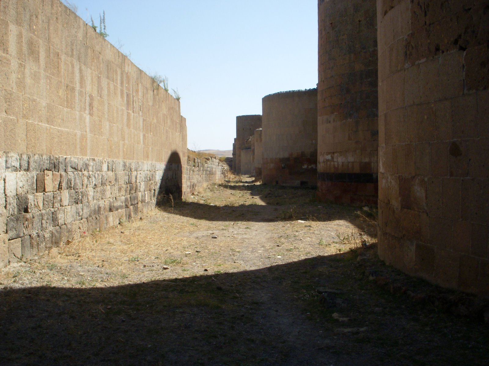 [DSCN4513.JPG]