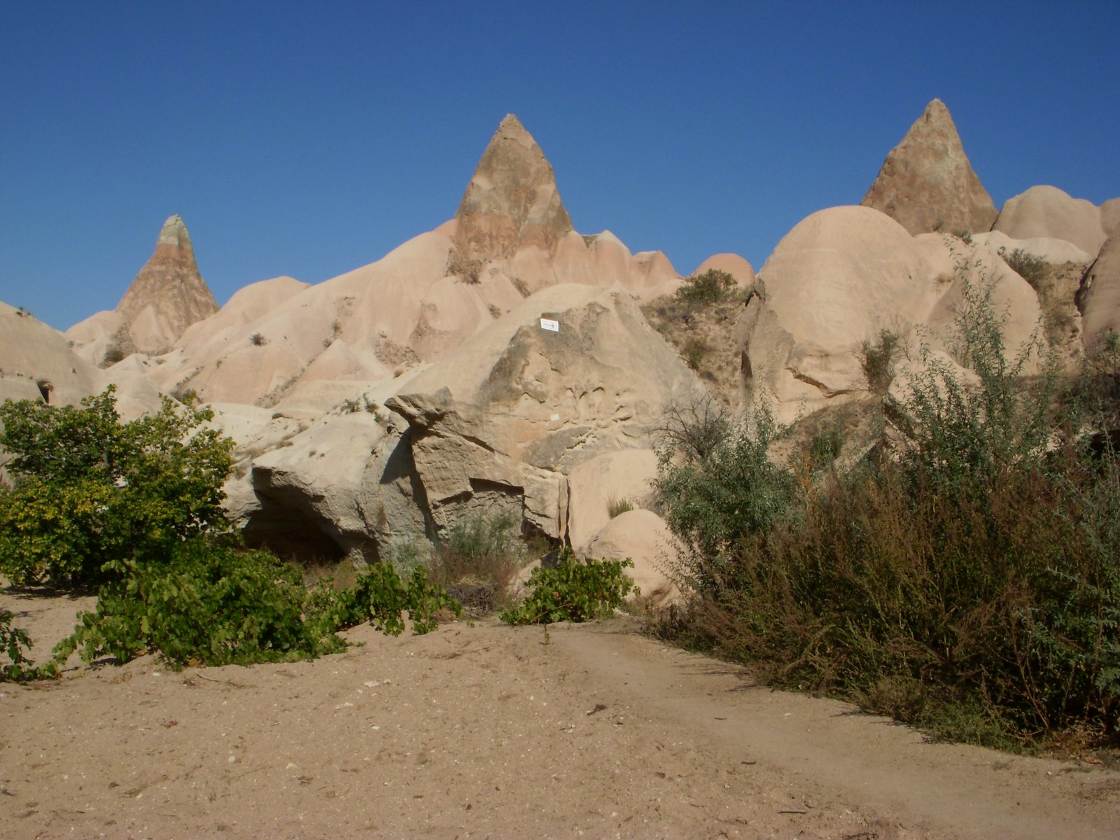 [DSCN5134.JPG]