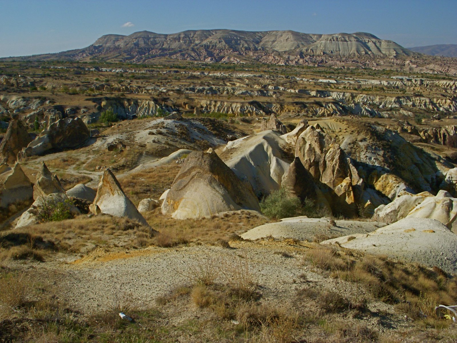 [DSCN4975.JPG]