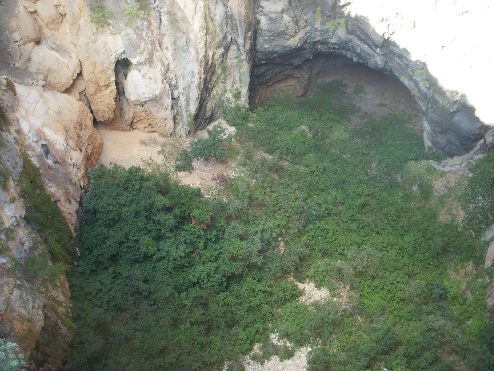 [DSCN5825.JPG]