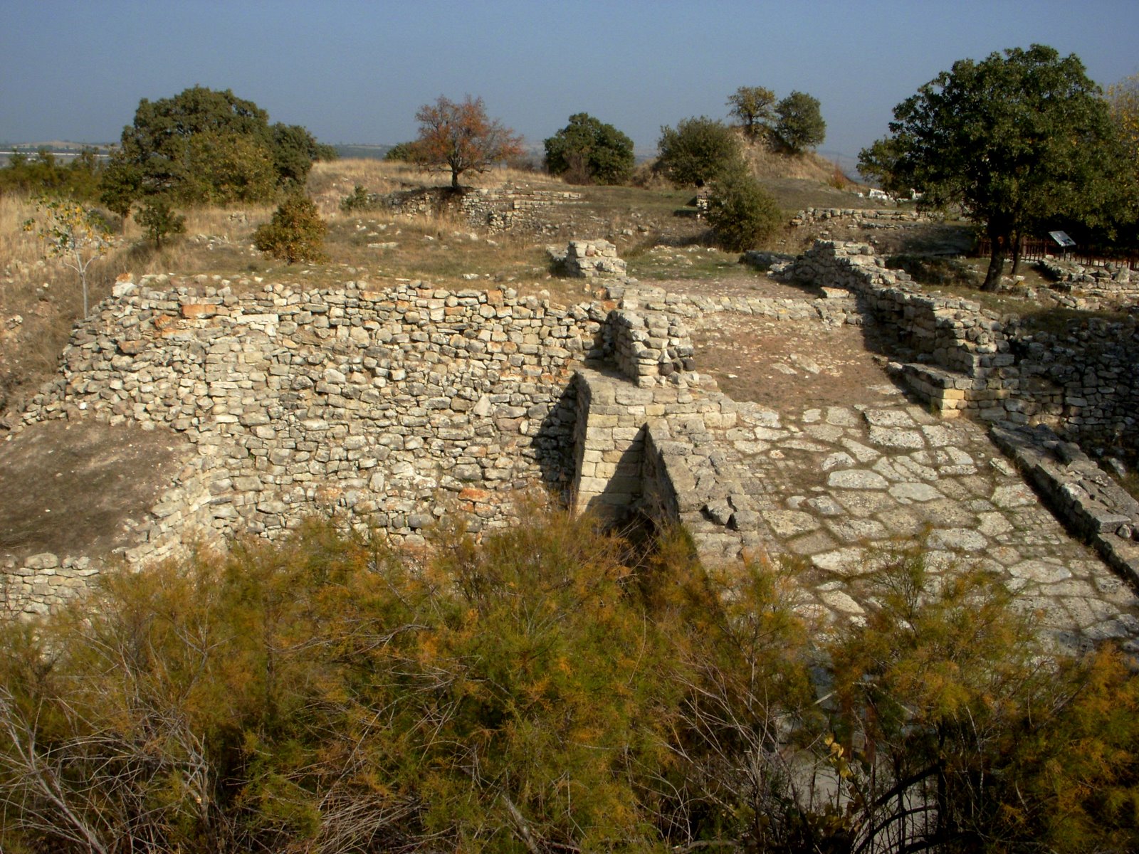 [DSCN6787.JPG]