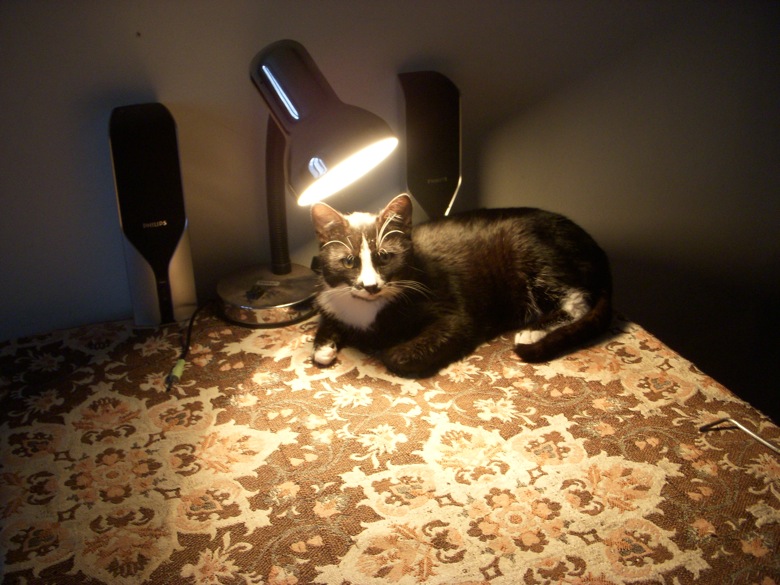 [DSCN9694.JPG]