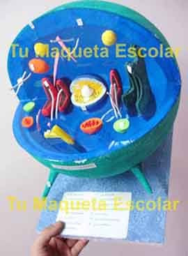 INES-BIOLOGIA: Maquetas de la Célula