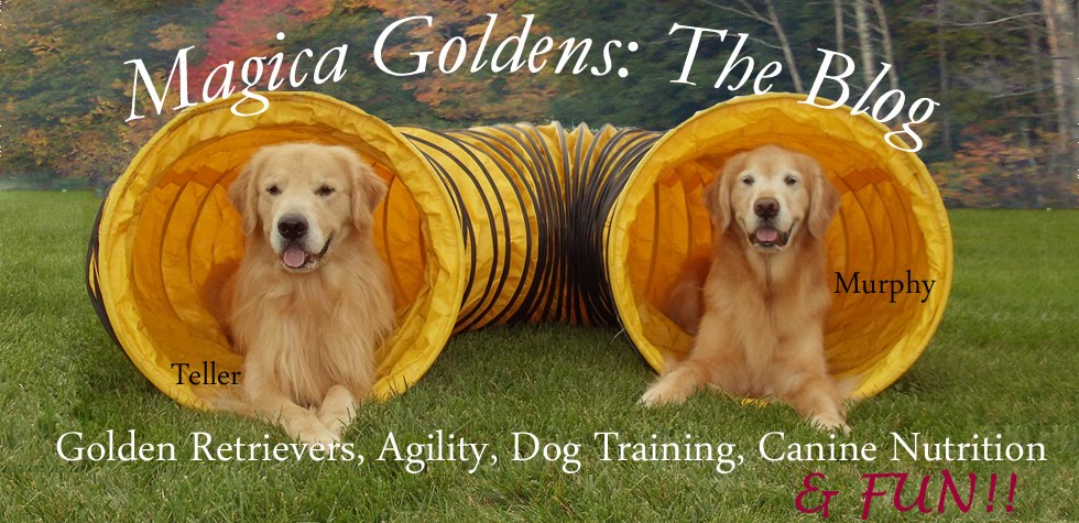 Magica Goldens