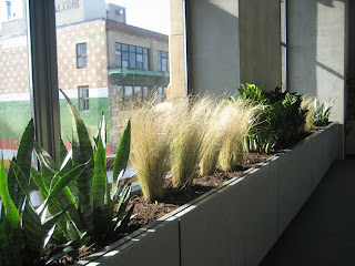 Sunroom Gardens