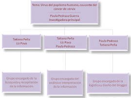 CONFORMACIÓN DE EQUIPOS