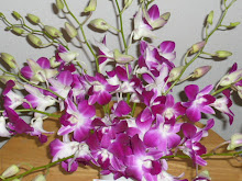 orchid