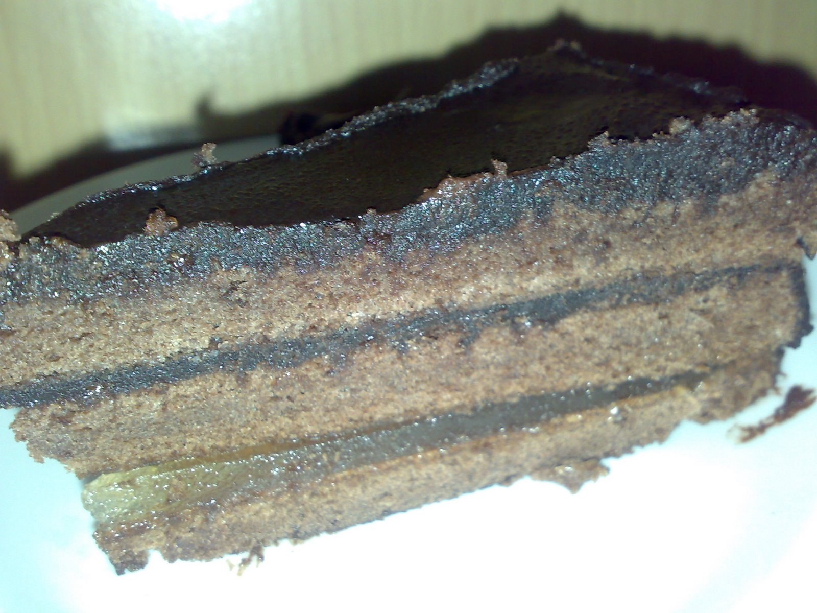 [290420091031.jpg]
