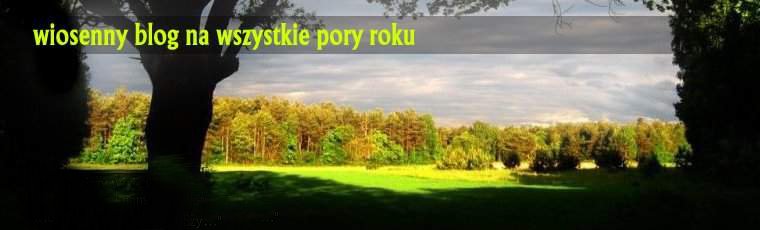 wiosenny blog na wszystkie pory roku