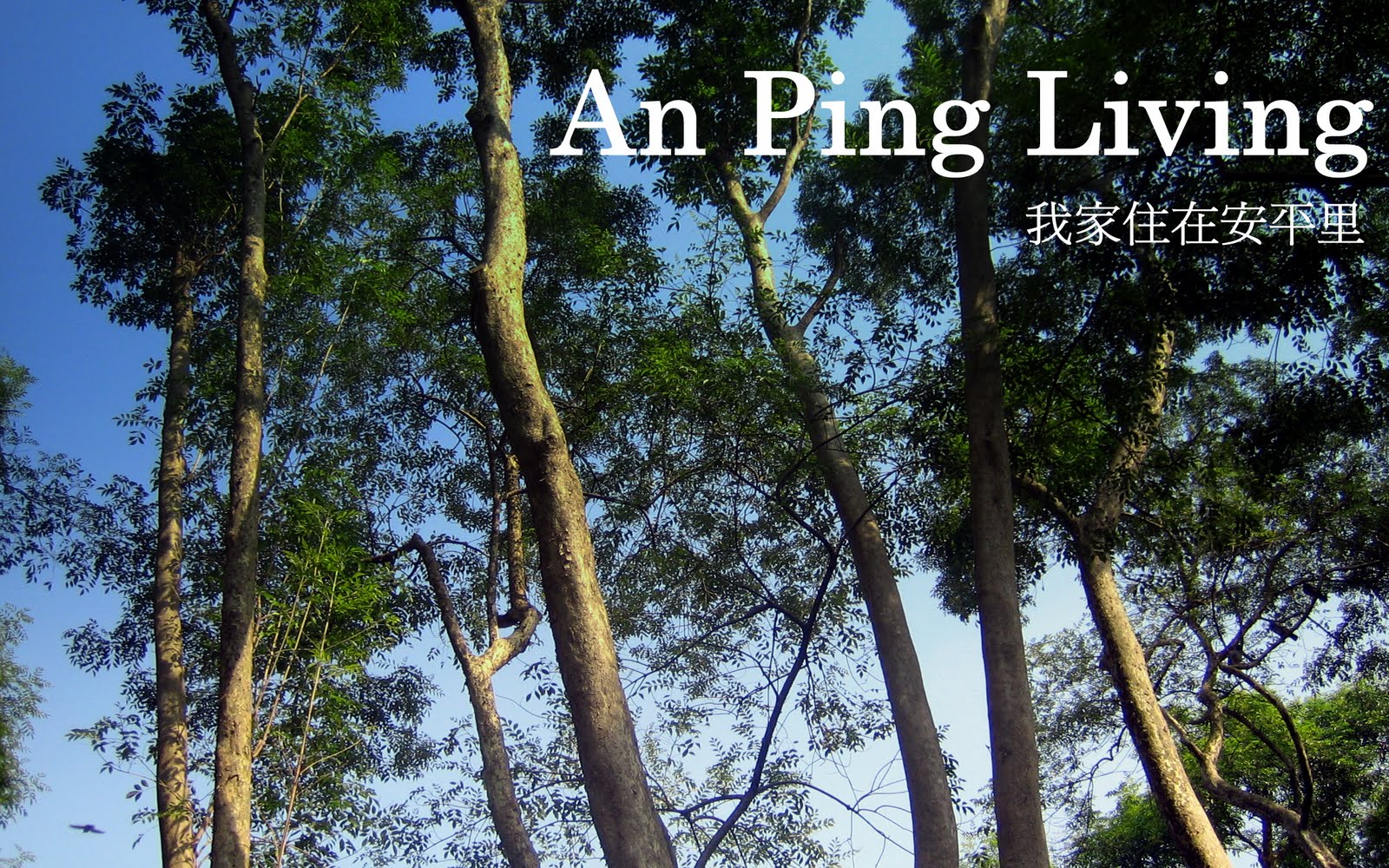An Ping Living