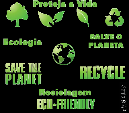 [ecologia03bx1.png]