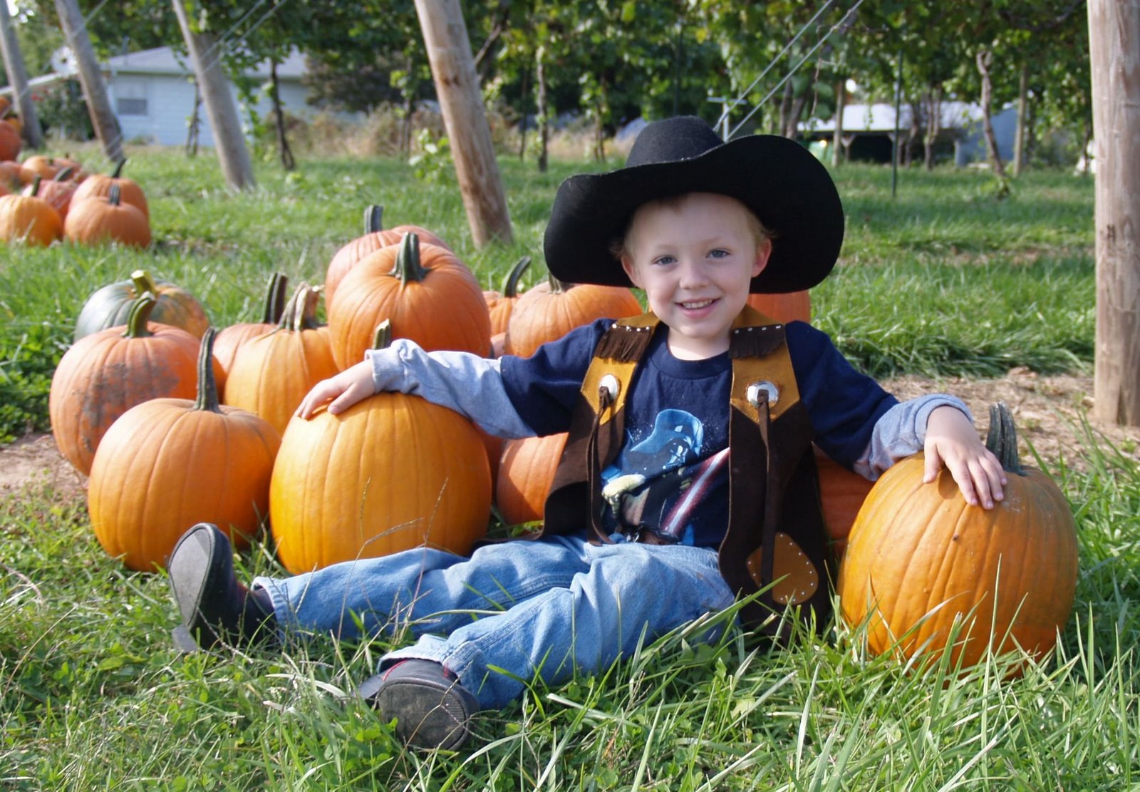 [EPumpkins.JPG]