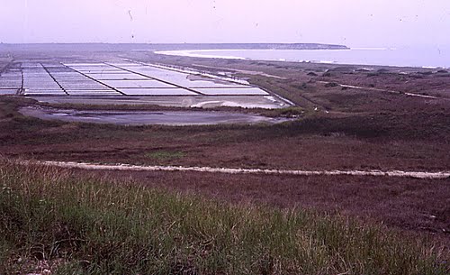 [capulo-salinas.jpg]